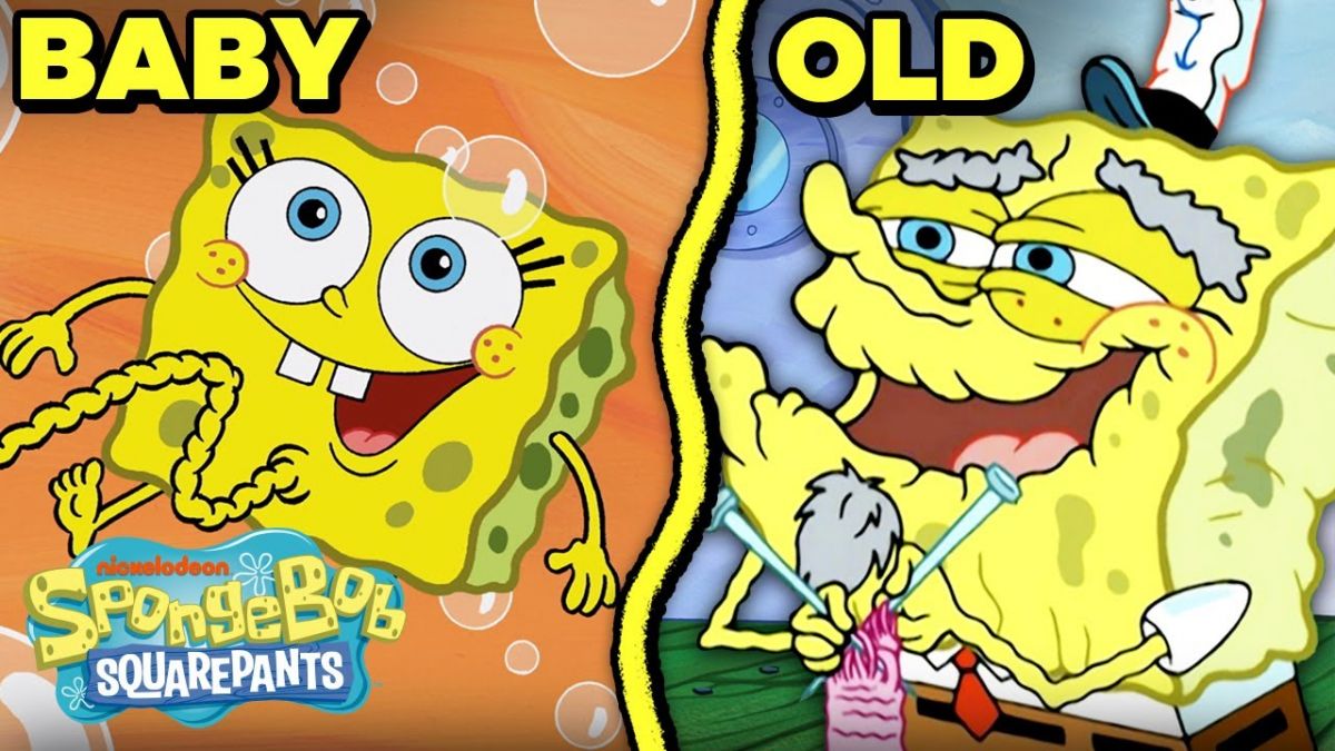 spongebobs_stages_of_life__baby_sponge_to_old_man
